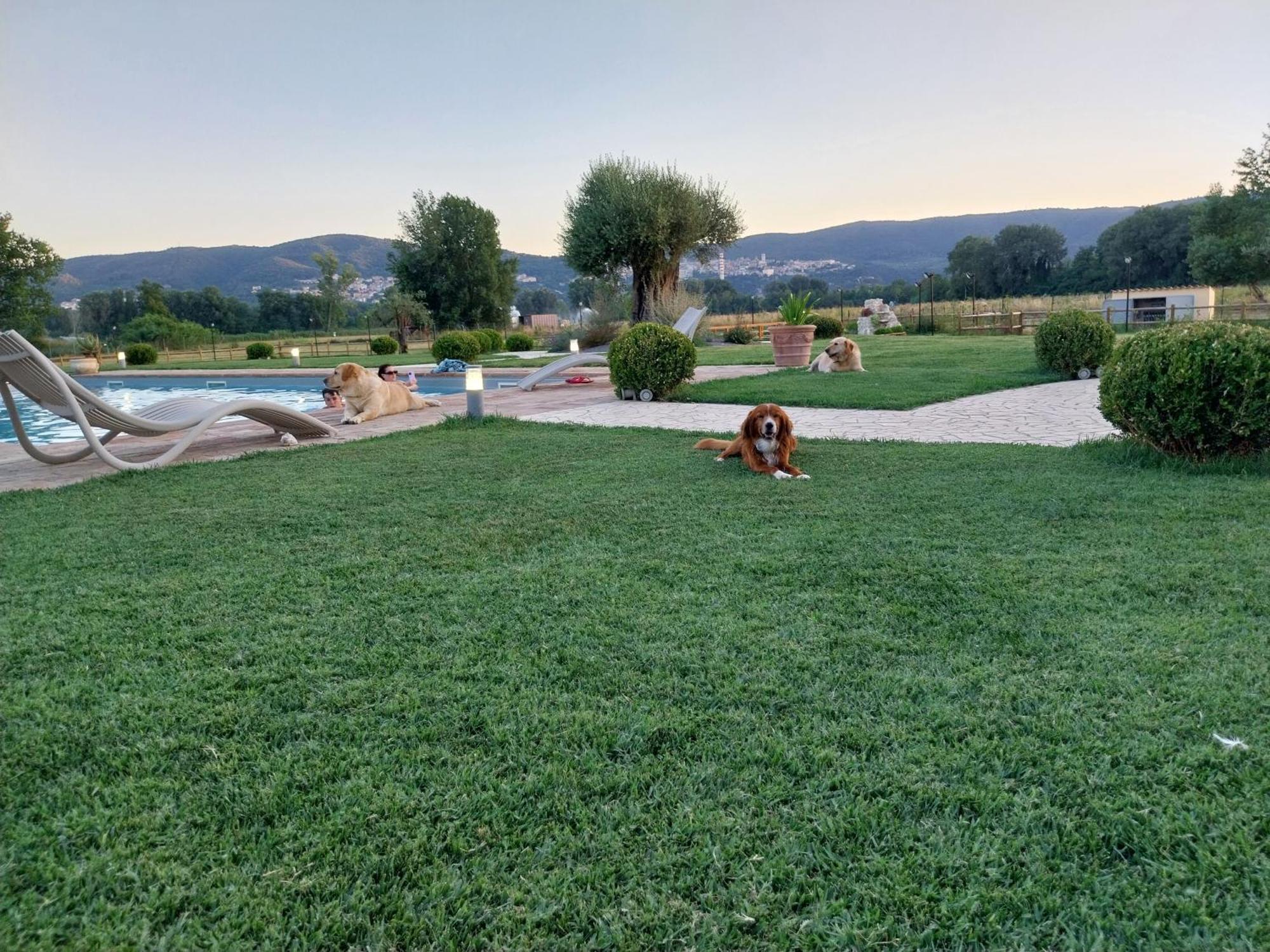 Agriturismo Tenuta Filippi Narni Buitenkant foto
